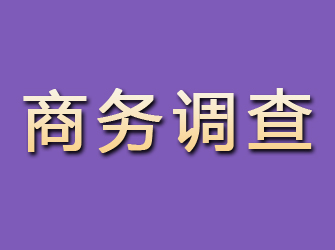 惠来商务调查